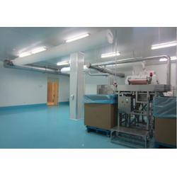 新疆粉塵除塵凈化工程廠家 臨沂哪里有質量好的食品粉塵除塵凈化設備